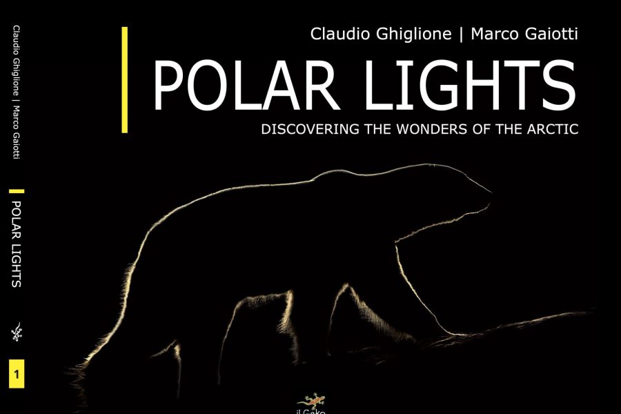 NEW Book Published- POLAR LIGHTS
