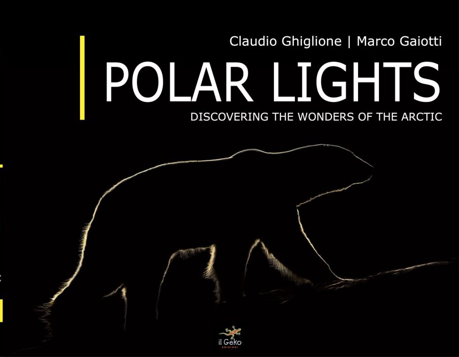 NEW Book Published- POLAR LIGHTS
