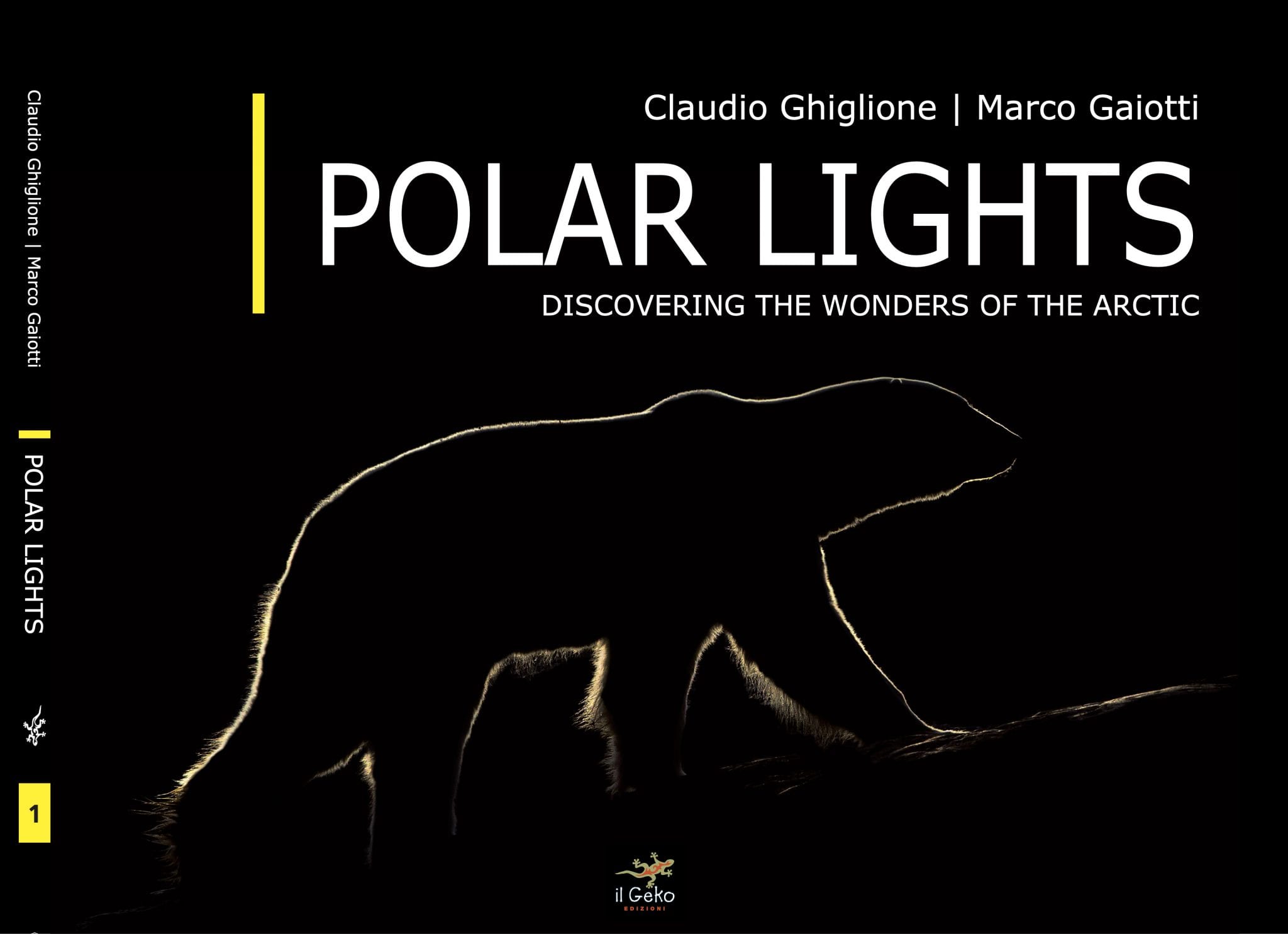 NEW Book Published- POLAR LIGHTS