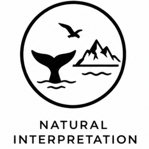 Image icon